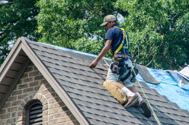 Quick and Trustworthy Emergency Roof Repair Services in Goodhue, MN